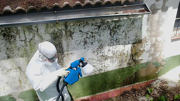 Trusted Commercial Mold Remediation service in Ashville, PA - Cheap Mold Removal